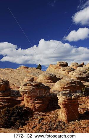 Rock formations on a landscape, Red Rock Canyon, Wyoming, USA View Large Photo Image Stock Image - Rock formations on a landscape, Red Rock Canyon, Wyoming, USA. Fotosearch