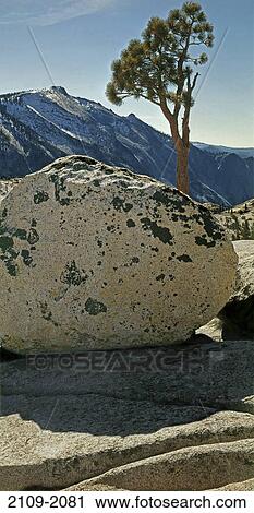 Rock on a landscape with a mountain range in the background, Cloud's Rest, Yosemite National Park, California, USA View Large Photo Image Stock Image - Rock on a landscape with a mountain range in the background, Cloud's Rest, Yosemite National Park, California, USA. Fotosearch