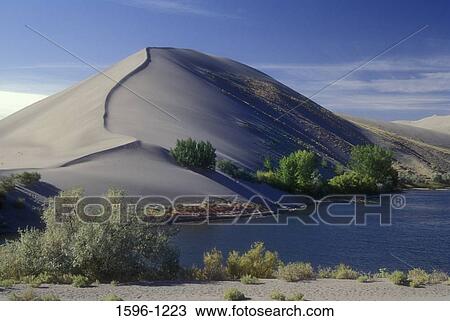 Stock Image - Sand dunes in a desert, Bruneau Dunes State Park, Snake River Birds of Prey National Conservation Area, Bruneau, Idaho, USA. Fotosearch
