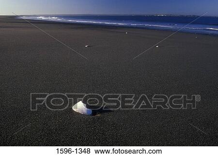 Seashells on the beach, Damon Point State Park, Washington State, USA View Large Photo Image Stock Photo - Seashells on the beach, Damon Point State Park, Washington State, USA. Fotosearch