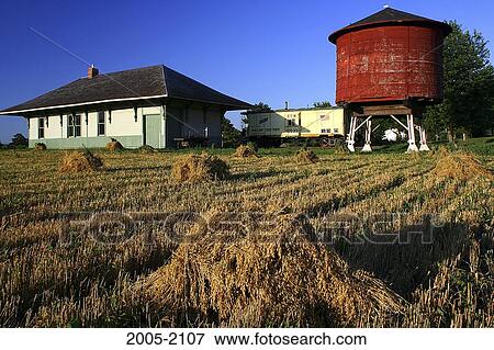 Shocks of wheat near a train station, Fairmont, Minnesota, USA View Large Photo Image Stock Photo - Shocks of wheat near a train station, Fairmont, Minnesota, USA. Fotosearch