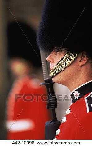 Side profile of a British royal guard, St. James's Palace, London, England View Large Photo Image Stock Photograph - Side profile of a British royal guard, St. James's Palace, London, England. Fotosearch