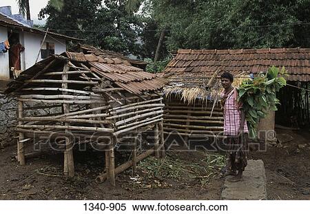Stock Photography - Side profile of an Irula tribal man standing with fodder near a shelter, Attappadi, Palakkad District, Kerala, India. Fotosearch