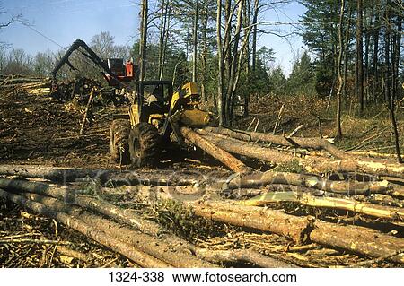 Skidder moving logs in a forest, Sumerduck, Virginia, USA View Large Photo Image Stock Photo - Skidder moving logs in a forest, Sumerduck, Virginia, USA. Fotosearch