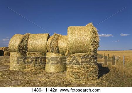 Stock Image - Stack of hay bales in a field, near Twin Bridges, Bozeman, Montana, USA. Fotosearch
