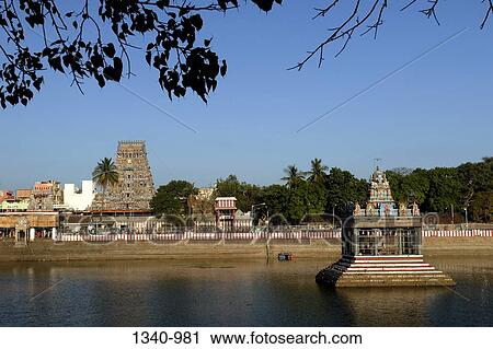 Temple in the middle of a pond, Kapaleeshwarar Temple, Mylapore, Chennai, Tamil Nadu, India View Large Photo Image Stock Image - Temple in the middle of a pond, Kapaleeshwarar Temple, Mylapore, Chennai, Tamil Nadu, India. Fotosearch