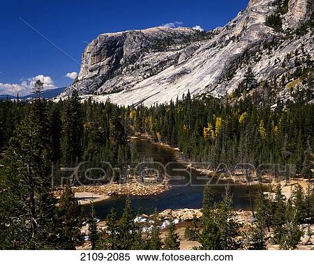 Trees in a forest with a mountain range, Glen Aulin, Yosemite National Park, California, USA View Large Photo Image Stock Photography - Trees in a forest with a mountain range, Glen Aulin, Yosemite National Park, California, USA. Fotosearch