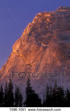 Trees in front of Lambert Dome, Yosemite National Park, California, USA View Large Photo Image Stock Image - Trees in front of Lambert Dome, Yosemite National Park, California, USA. Fotosearch