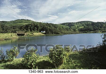 Trees near a lake, Glen Morgan Lake, Nilgiris, Tamil Nadu, India View Large Photo Image Stock Image - Trees near a lake, Glen Morgan Lake, Nilgiris, Tamil Nadu, India. Fotosearch