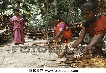 Two mid adult women weaving coconut leaf screens, Tamil Nadu, India View Large Photo Image Stock Photo - Two mid adult women weaving coconut leaf screens, Tamil Nadu, India. Fotosearch