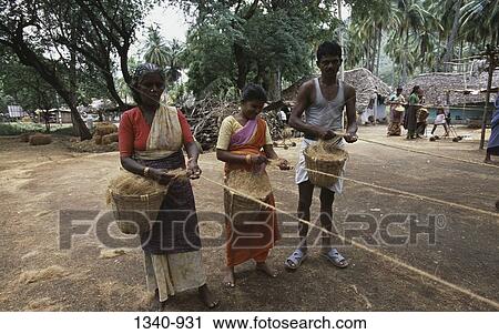 Two women and a man making coir ropes, Tamil Nadu, India View Large Photo Image Stock Image - Two women and a man making coir ropes, Tamil Nadu, India. Fotosearch