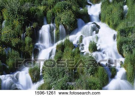 Water flowing in a forest, Niagara Springs, Niagara Springs State Park, Idaho, USA View Large Photo Image Stock Image - Water flowing in a forest, Niagara Springs, Niagara Springs State Park, Idaho, USA. Fotosearch