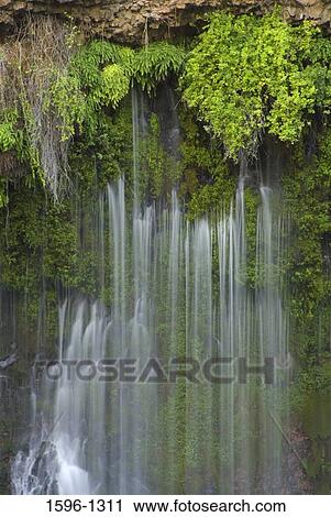 Waterfall in a forest, Burney Falls, McArthur-Burney Falls Memorial State Park, California, USA View Large Photo Image Stock Image - Waterfall in a forest, Burney Falls, McArthur-Burney Falls Memorial State Park, California, USA. Fotosearch