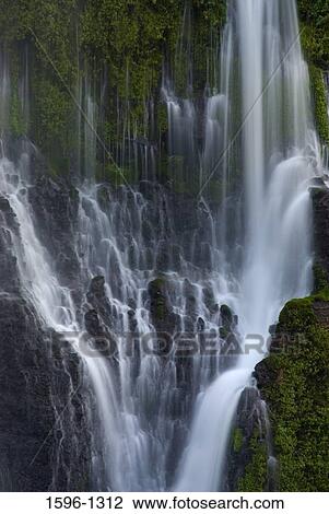 Waterfall in a forest, Burney Falls, McArthur-Burney Falls Memorial State Park, California, USA View Large Photo Image Stock Image - Waterfall in a forest, Burney Falls, McArthur-Burney Falls Memorial State Park, California, USA. Fotosearch