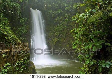 Waterfall in a forest, La Paz park, Costa Rica View Large Photo Image Stock Photo - Waterfall in a forest, La Paz park, Costa Rica. Fotosearch