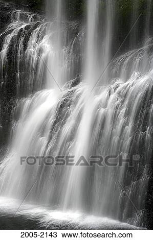 Waterfall in a forest, Lower South Falls, Silver Falls State Park, Oregon, USA View Large Photo Image Stock Image - Waterfall in a forest, Lower South Falls, Silver Falls State Park, Oregon, USA. Fotosearch