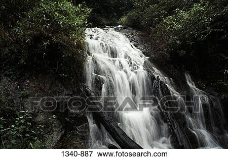 Stock Photo - Waterfall in a forest, Silent Valley National Park, Palakkad District, Kerala, India. Fotosearch
