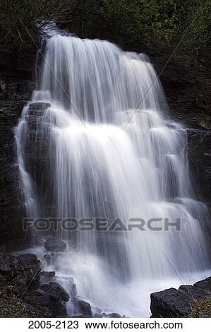 Waterfall in a forest, US Glacier National Park, Montana, USA View Large Photo Image Stock Image - Waterfall in a forest, US Glacier National Park, Montana, USA. Fotosearch