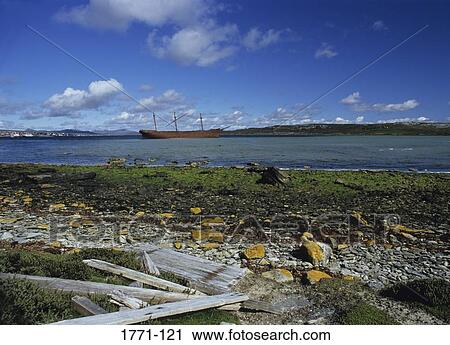 Whaling ship in the sea, Falkland Islands View Large Photo Image Stock Image - Whaling ship in the sea, Falkland Islands. Fotosearch