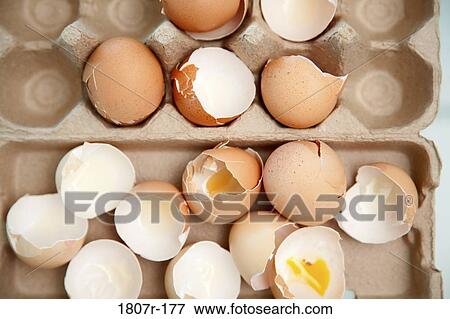 Broken eggshells in a carton View Large Photo Image Stock Photo - Broken eggshells in a carton. Fotosearch