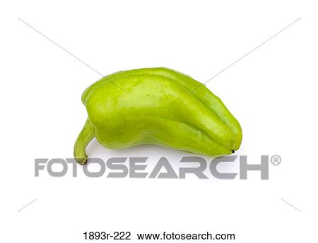 Close-up of a green chili pepper View Large Photo Image Stock Image - Close-up of a green chili pepper. Fotosearch