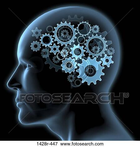 Close-up of a man's head with gears turning inside View Large Photo Image Stock Photo - Close-up of a man's head with gears turning inside. Fotosearch