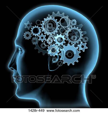 Close-up of a man's head with gears turning inside View Large Photo Image Stock Photo - Close-up of a man's head with gears turning inside. Fotosearch