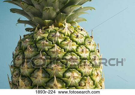 Close-up of a pineapple View Large Photo Image Picture - Close-up of a pineapple. Fotosearch
