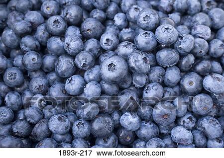Close-up of blueberries View Large Photo Image Stock Photo - Close-up of blueberries. Fotosearch