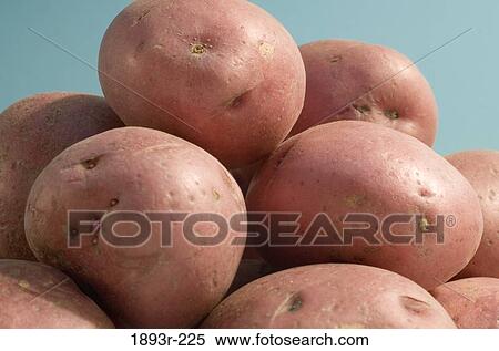 Close-up of raw potatoes View Large Photo Image Stock Photography - Close-up of raw potatoes. Fotosearch