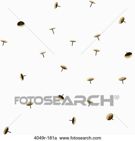 Close-up of thumbtacks View Large Photo Image Stock Image - Close-up of thumbtacks. Fotosearch