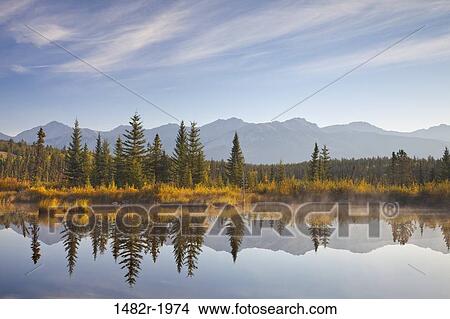 Cottonwood Slough, Jasper National Park, Alberta, Canada View Large Photo Image Picture - Cottonwood Slough, Jasper National Park, Alberta, Canada. Fotosearch