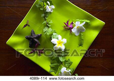 Flowers arranged on a plate, Bora Bora, Society Islands, French Polynesia View Large Photo Image Picture - Flowers arranged on a plate, Bora Bora, Society Islands, French Polynesia. Fotosearch