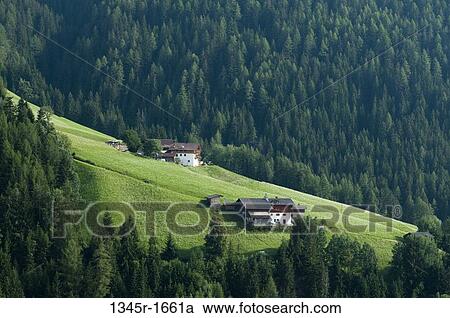 Houses on a landscape, Santa Maddalena, Funes Valley, Dolomites, Trentino-Alto-Adige, Italy View Large Photo Image Stock Image - Houses on a landscape, Santa Maddalena, Funes Valley, Dolomites, Trentino-Alto-Adige, Italy. Fotosearch