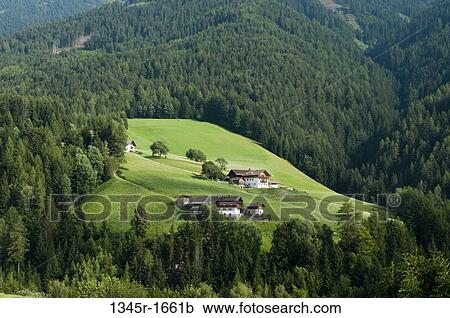 Houses on a landscape, Santa Maddalena, Funes Valley, Dolomites, Trentino-Alto-Adige, Italy View Large Photo Image Stock Image - Houses on a landscape, Santa Maddalena, Funes Valley, Dolomites, Trentino-Alto-Adige, Italy. Fotosearch