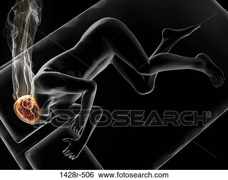 Illustration of a man sleeping with brain highlighted View Large Photo Image Stock Photograph - Illustration of a man sleeping with brain highlighted. Fotosearch