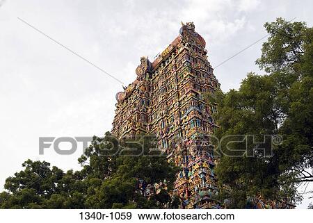 Low angle view of a temple, Meenakshi Amman Temple, Madurai, Tamil Nadu, India View Large Photo Image Stock Photo - Low angle view of a temple, Meenakshi Amman Temple, Madurai, Tamil Nadu, India. Fotosearch