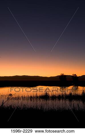 Marsh at dusk, Colusa National Wildlife Refuge, Sacramento Valley, California, USA View Large Photo Image Stock Photo - Marsh at dusk, Colusa National Wildlife Refuge, Sacramento Valley, California, USA. Fotosearch