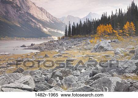 Medicine Lake, Jasper National Park, Alberta, Canada View Large Photo Image Stock Photography - Medicine Lake, Jasper National Park, Alberta, Canada. Fotosearch