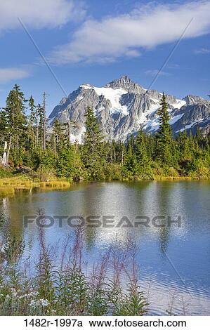 Mount Shuksan, Mount Baker National Recreation Area, Washington, USA View Large Photo Image Stock Image - Mount Shuksan, Mount Baker National Recreation Area, Washington, USA. Fotosearch