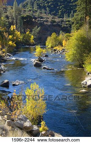 River flowing through a forest, Kern River, Sequoia National Forest, Sierra Nevada, California, USA View Large Photo Image Picture - River flowing through a forest, Kern River, Sequoia National Forest, Sierra Nevada, California, USA. Fotosearch