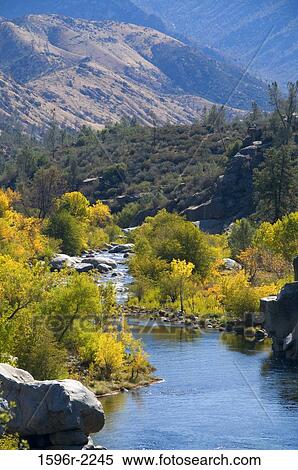 River flowing through a forest, Kern River, Sequoia National Forest, Sierra Nevada, California, USA View Large Photo Image Stock Photography - River flowing through a forest, Kern River, Sequoia National Forest, Sierra Nevada, California, USA. Fotosearch