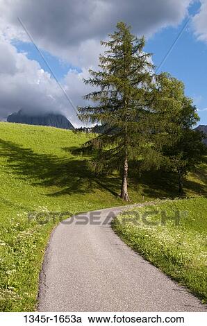 Road passing through a hill, Santa Maddalena, Funes Valley, Dolomites, Trentino-Alto-Adige, Italy View Large Photo Image Stock Image - Road passing through a hill, Santa Maddalena, Funes Valley, Dolomites, Trentino-Alto-Adige, Italy. Fotosearch
