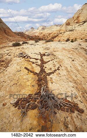Stock Image - Stones arranged in the shape of a tree, Zion-Mount Carmel Highway, Zion National Park, Utah, USA. Fotosearch