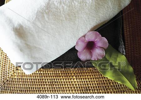 Towel and flower in a basket, Bora Bora, Society Islands, French Polynesia View Large Photo Image Stock Image - Towel and flower in a basket, Bora Bora, Society Islands, French Polynesia. Fotosearch