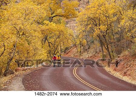 Two cyclists in a cottonwood forest, The Grotto, Zion National Park, Utah, USA View Large Photo Image Picture - Two cyclists in a cottonwood forest, The Grotto, Zion National Park, Utah, USA. Fotosearch