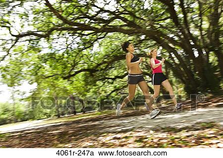 Stock Image - Two women jogging in a park. Fotosearch