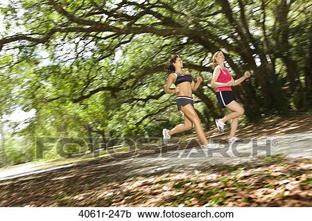 Two women jogging in a park View Large Photo Image Stock Image - Two women jogging in a park. Fotosearch