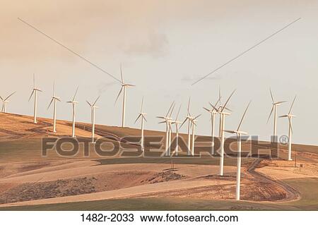 Wind turbines on a hill, Kennewick, Washington State, USA View Large Photo Image Stock Image - Wind turbines on a hill, Kennewick, Washington State, USA. Fotosearch