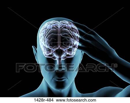 X-ray view of a man grabbing his head in pain View Large Photo Image Picture - X-ray view of a man grabbing his head in pain. Fotosearch